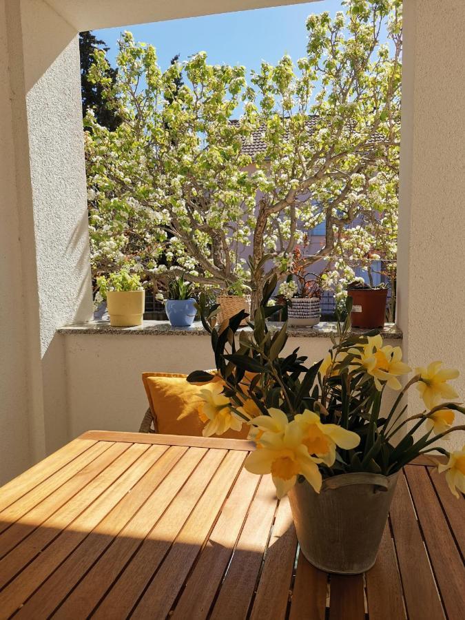 Apartman Soto Пировац Екстериор снимка